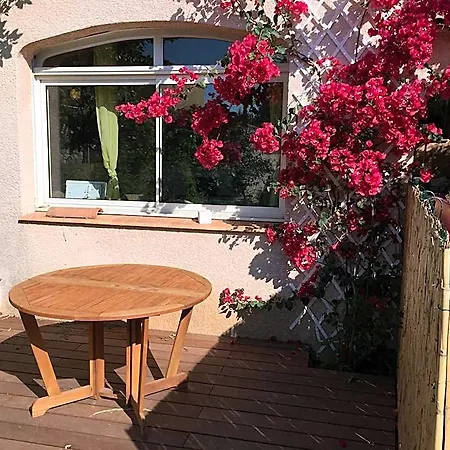Charming With Swimming Pool Frontignan